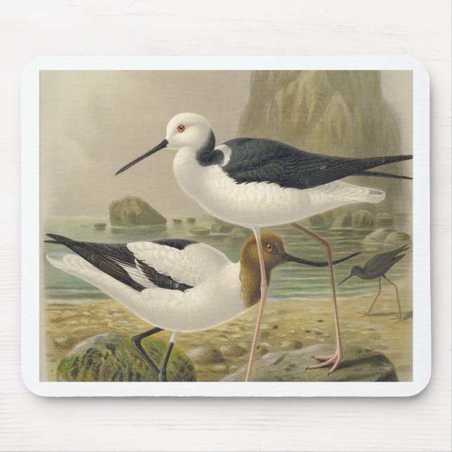 Tapis De Souris Oiseaux (Devant)