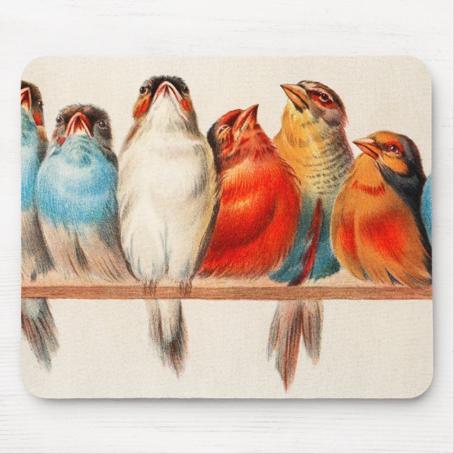 Tapis De Souris Oiseaux Assis joliment et calme (Devant)