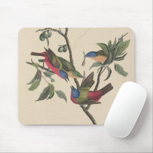 Tapis De Souris Oiseaux colorés de l'art vintage d'Audubon Peint B