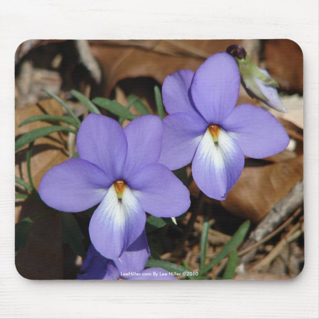 Tapis De Souris Oiseaux fleur sauvage-Pied Violet III Cadeaux et v (Devant)