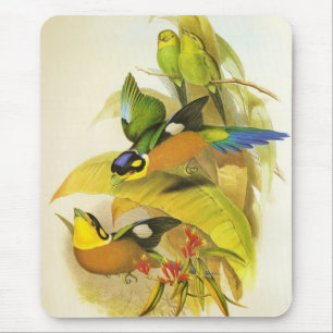 Tapis de souris oiseaux Psittacula à longue queue 