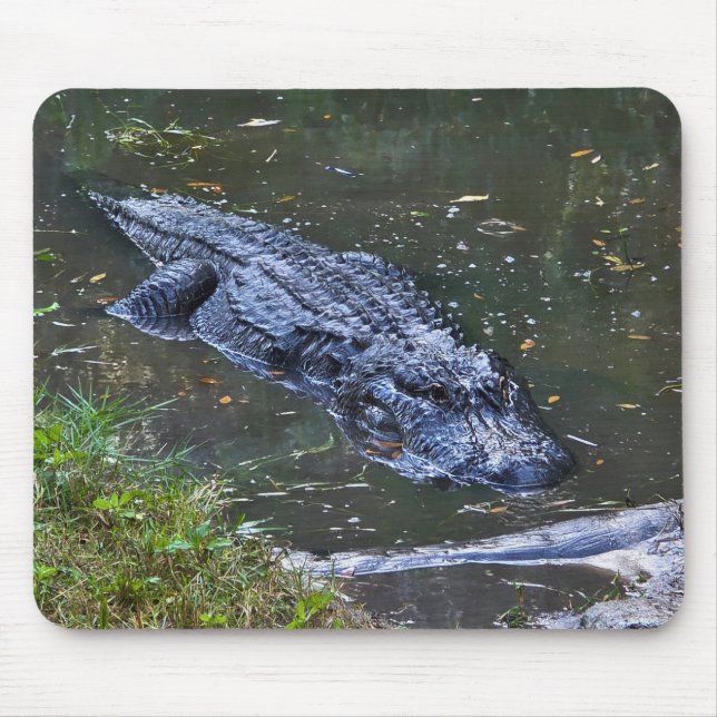 Tapis De Souris Ombre dans les Hauts-Fonds (Devant)