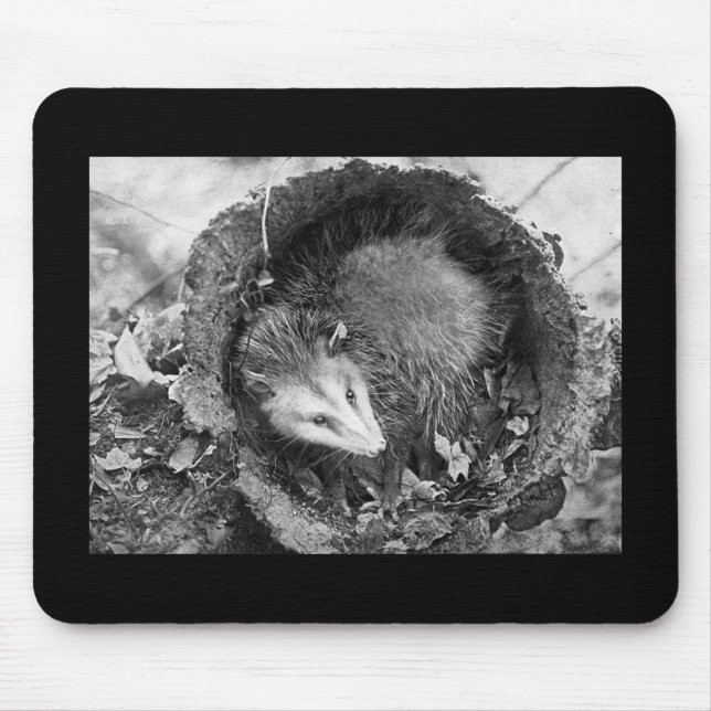 Tapis De Souris Opossum (Devant)