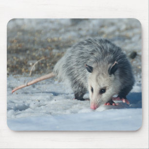 Tapis De Souris Opossum Mousepad
