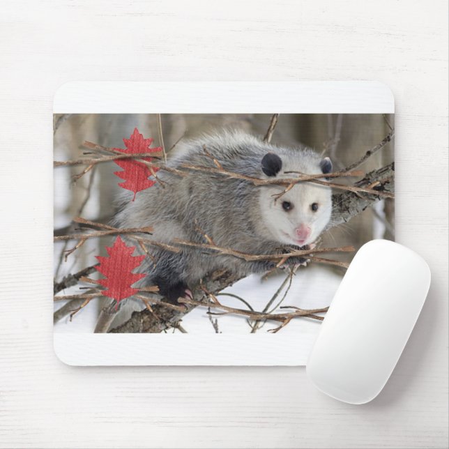 Tapis De Souris Opossum Nature Pad Souris Blanc! (Avec souris)