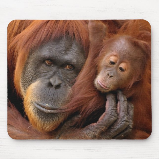 Tapis De Souris Orang-outan de mère et de bébé (Devant)