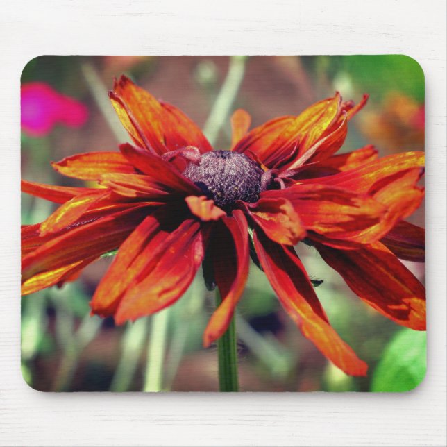 Tapis De Souris Orange Black Eyed Susan Flower (Devant)