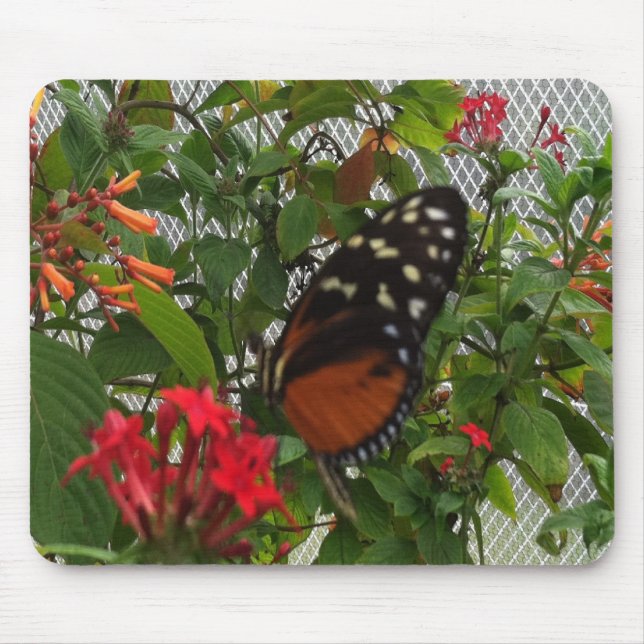 TAPIS DE SOURIS ORANGE BUTTERFLY (Devant)