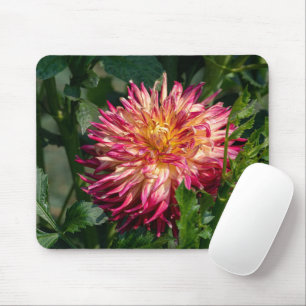 Tapis De Souris Orange Chrysanthemum Photographie, Fleur canadienn