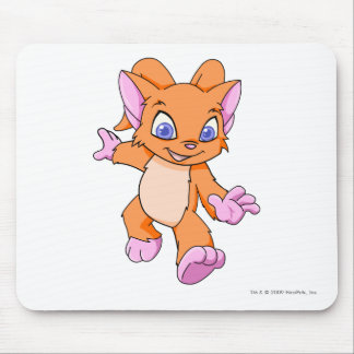 Tapis De Souris Orange d'Acara