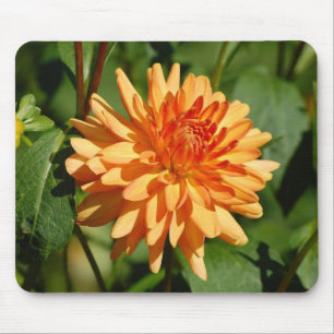 Tapis De Souris Orange Dahlie mit Knospe und Blätter