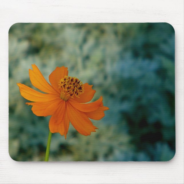 Tapis De Souris Orange Daisy (Devant)