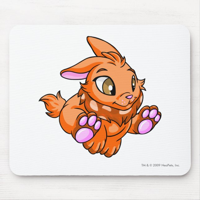 Tapis De Souris Orange de Cybunny (Devant)