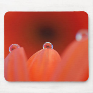 Tapis De Souris Orange Gerbera Réfraction Mousepad