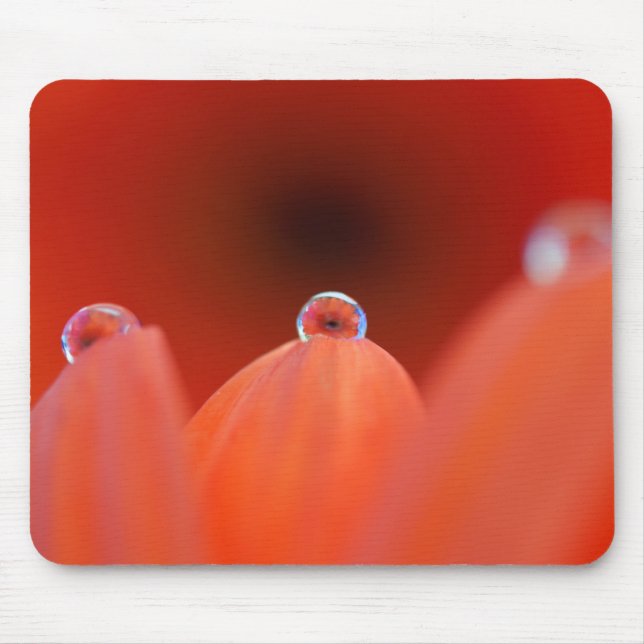 Tapis De Souris Orange Gerbera Réfraction Mousepad (Devant)