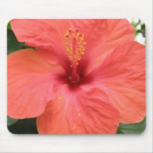 Tapis De Souris Orange Hibiscus Fleur Macro Mousepad