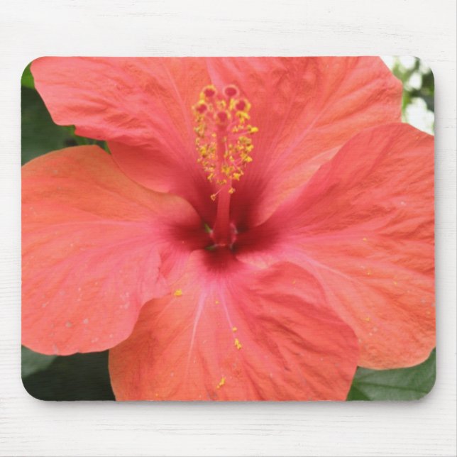 Tapis De Souris Orange Hibiscus Fleur Macro Mousepad (Devant)