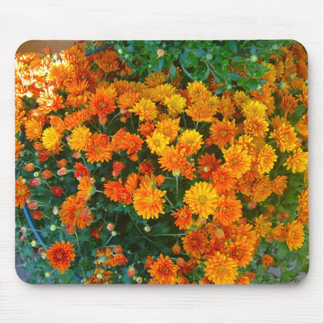 Tapis De Souris Orange Margarita Daisy Mousepad (Devant)