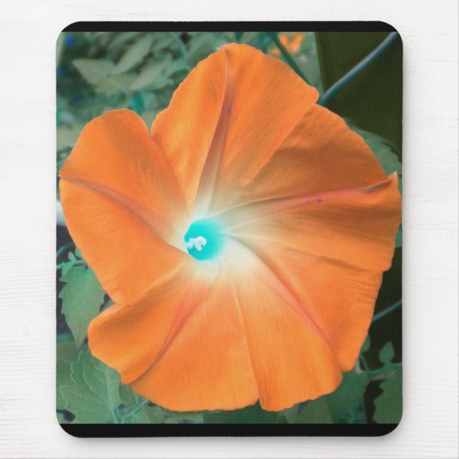 Tapis De Souris Orange Morning Glory (Devant)