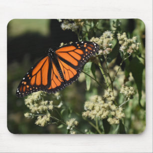 Tapis De Souris Orange Noir Monarque Papillon Nature Photographie