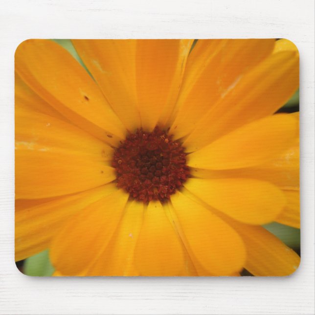 Tapis De Souris Orange Pluie Daisy Mousepad (Devant)