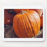 Orange Pumpkin
