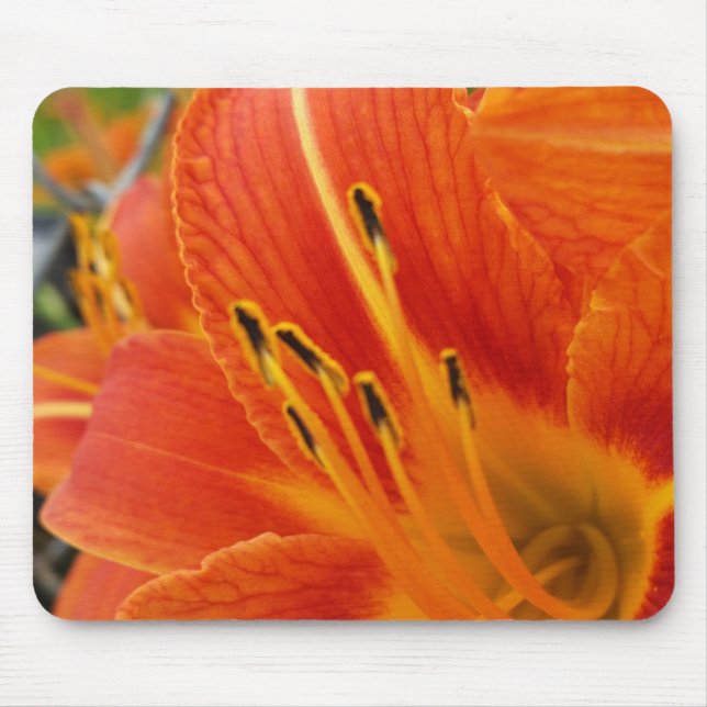 Tapis De Souris orange vif (Devant)
