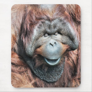 TAPIS DE SOURIS ORANGUTANS