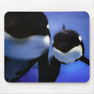 Tapis De Souris Orca