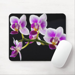 Tapis De Souris Orchidée blanche et violette