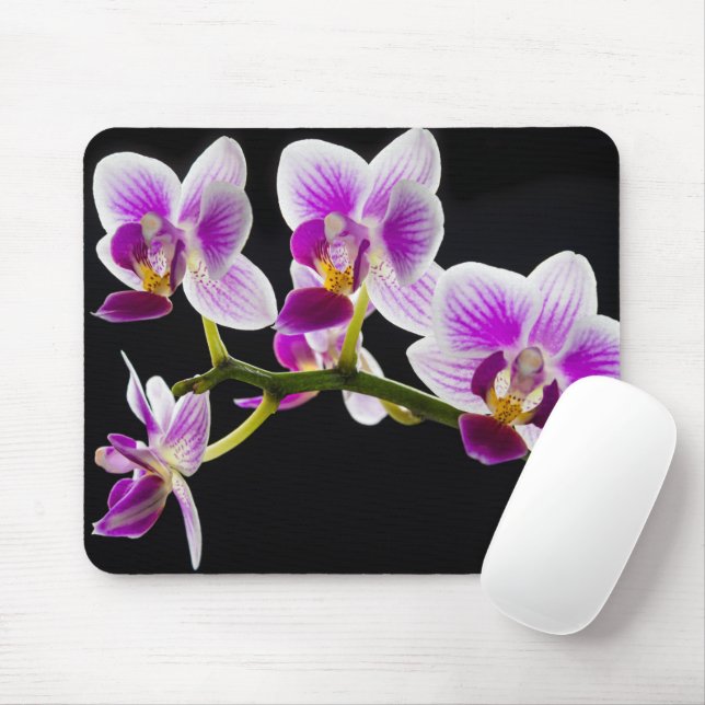 Tapis De Souris Orchidée blanche et violette (Avec souris)