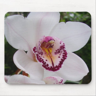 Tapis De Souris Orchidée Blanche I Belle Fleur Tropicale