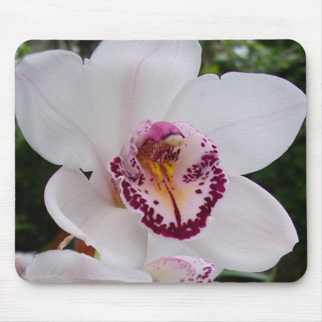 Tapis De Souris Orchidée Blanche I Belle Fleur Tropicale (Devant)