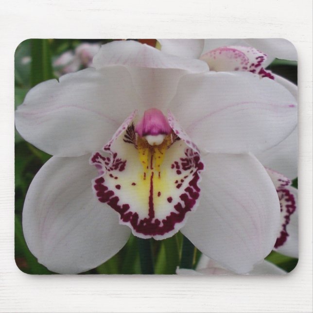 Tapis De Souris Orchidée blanche II Élégante florale (Devant)