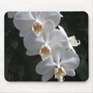 Tapis De Souris Orchidée blanche Mousepad