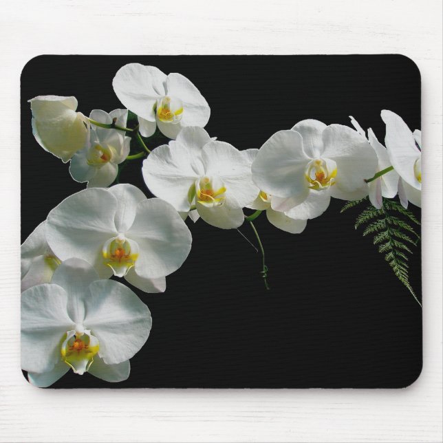 Tapis De Souris Orchidée blanche Mousepad (Devant)