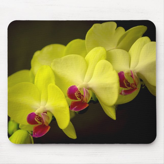 Tapis De Souris Orchidée jaune - Mousepad (Devant)