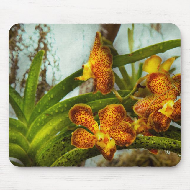 Tapis De Souris Orchidée - Oncidium - Mûri (Devant)
