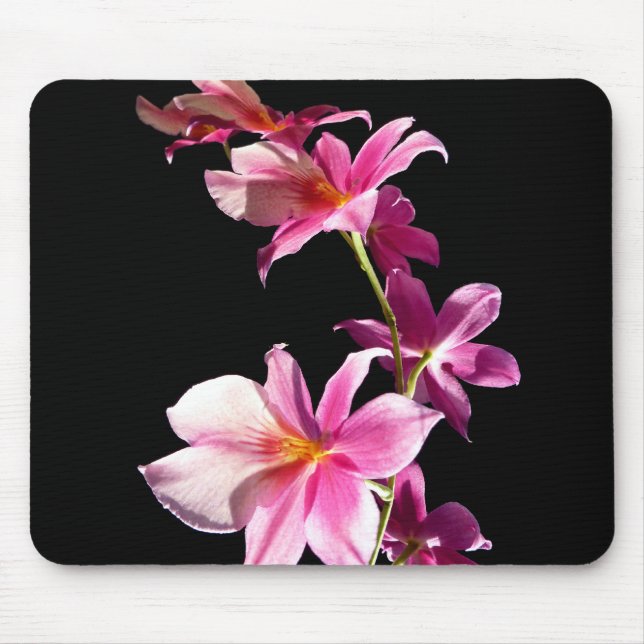 Tapis De Souris Orchidée rose (Devant)