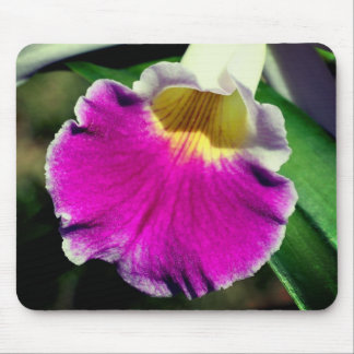 Tapis De Souris Orchidée violette