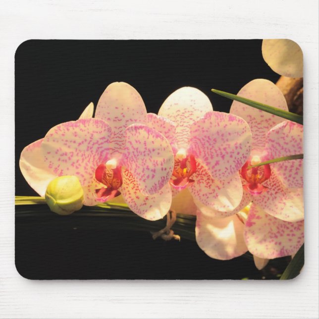 Tapis De Souris orchidées (Devant)