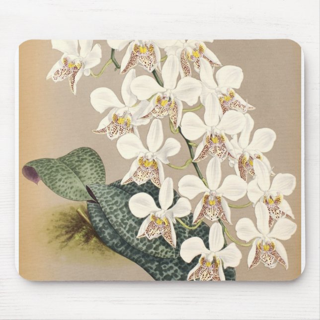 Tapis De Souris Orchidées (Devant)