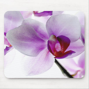 Tapis De Souris Orchidées blanches