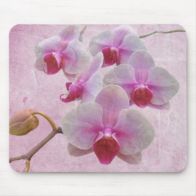 Tapis De Souris Orchidées de teigne rose - Phalaenopsis (Devant)
