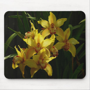 Tapis De Souris Orchidées Jaunes Sunlit Floral