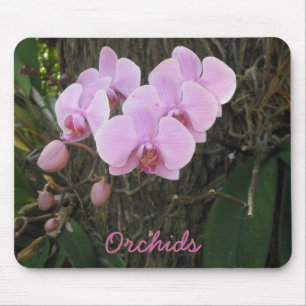 Tapis De Souris Orchidées magnifiques