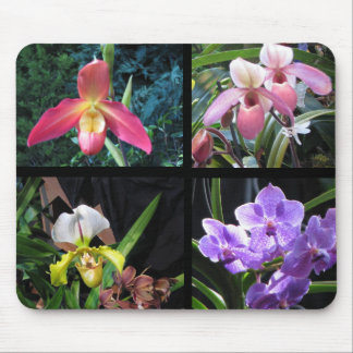 Tapis De Souris Orchidées Mousepad