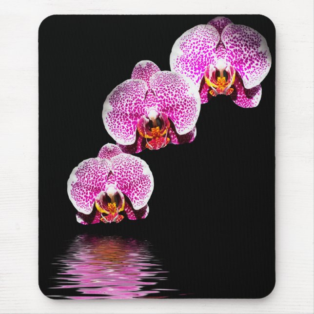 Tapis De Souris Orchidées Phalaenopsis violette Réflexions Mousepa (Devant)