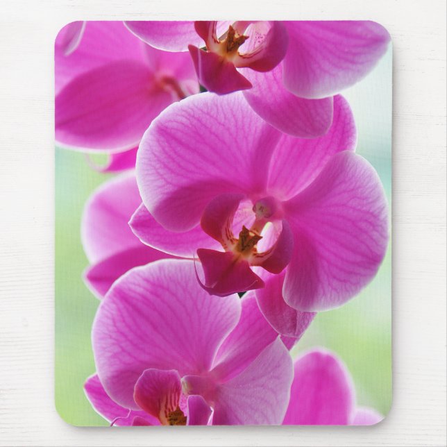 Tapis De Souris Orchides de Lovely (Devant)