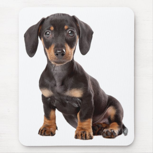 Tapis De Souris Ordinateur Mousepad de chiot de teckel d'amour (Devant)